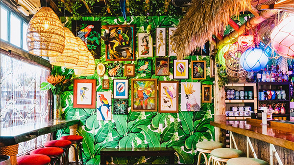 The Jungle Bird